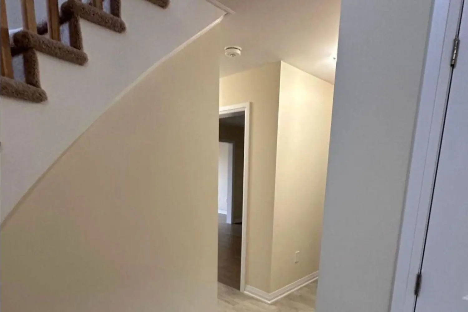 Additional image 3 of 5 Revol Road