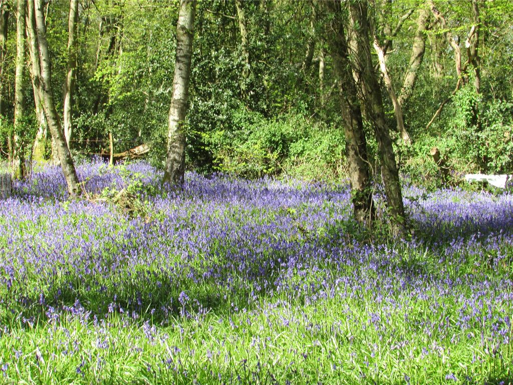 Additional image 13 of Land for saleGolf Club Lane, Piltdown, Uckfield, East Sussex TN22