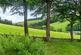 Additional image 27 of Wildboarclough, Macclesfield, Cheshire, SK11