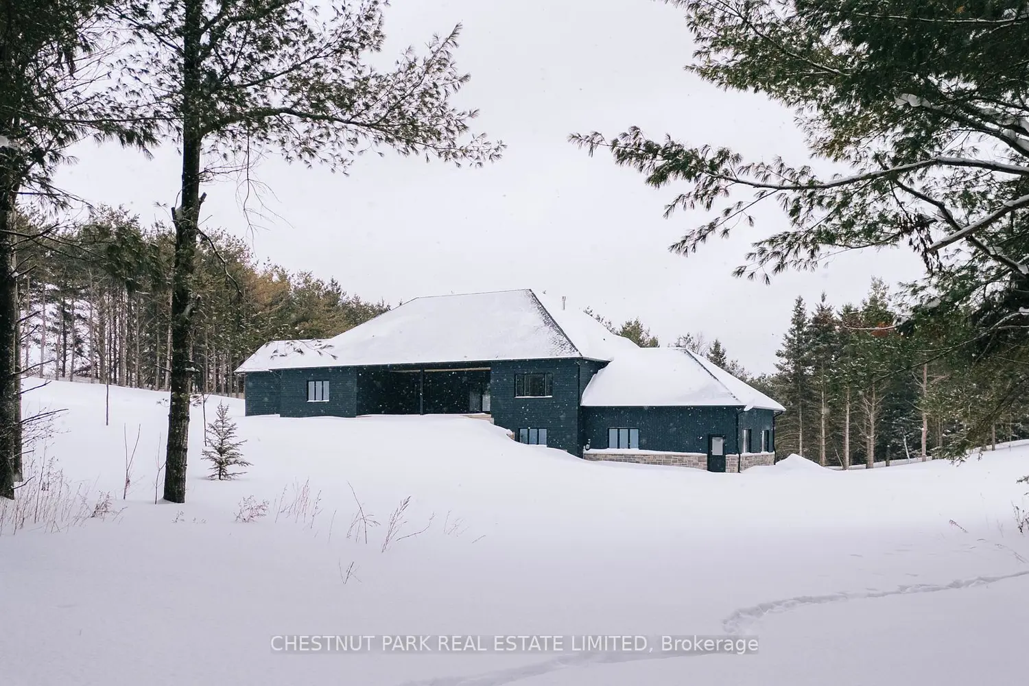 Additional image 17 of 675528 Hurontario Street