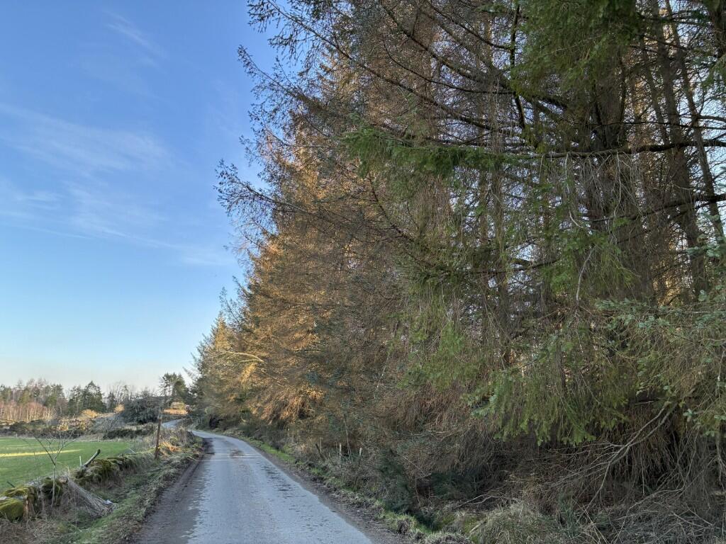 Additional image 7 of Woodland at Dessmuir Estate, Aboyne