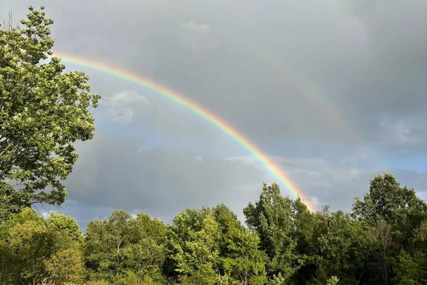 Additional image 15 of 121 Ernest Way