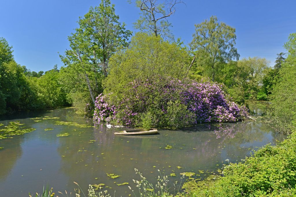 Additional image 26 of 8 bed detached house for saleBishops Court Lane, Clyst St. Mary, Exeter, Devon EX5