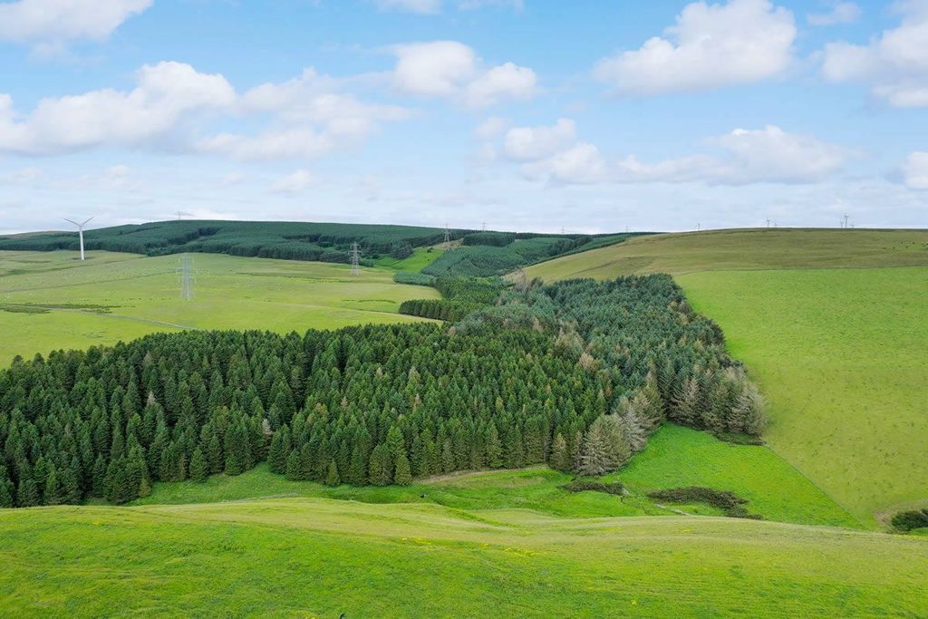Additional image 5 of Land for salePlot 4, Hartside Wood, Lauder, Scottish Borders TD26Pu TD2