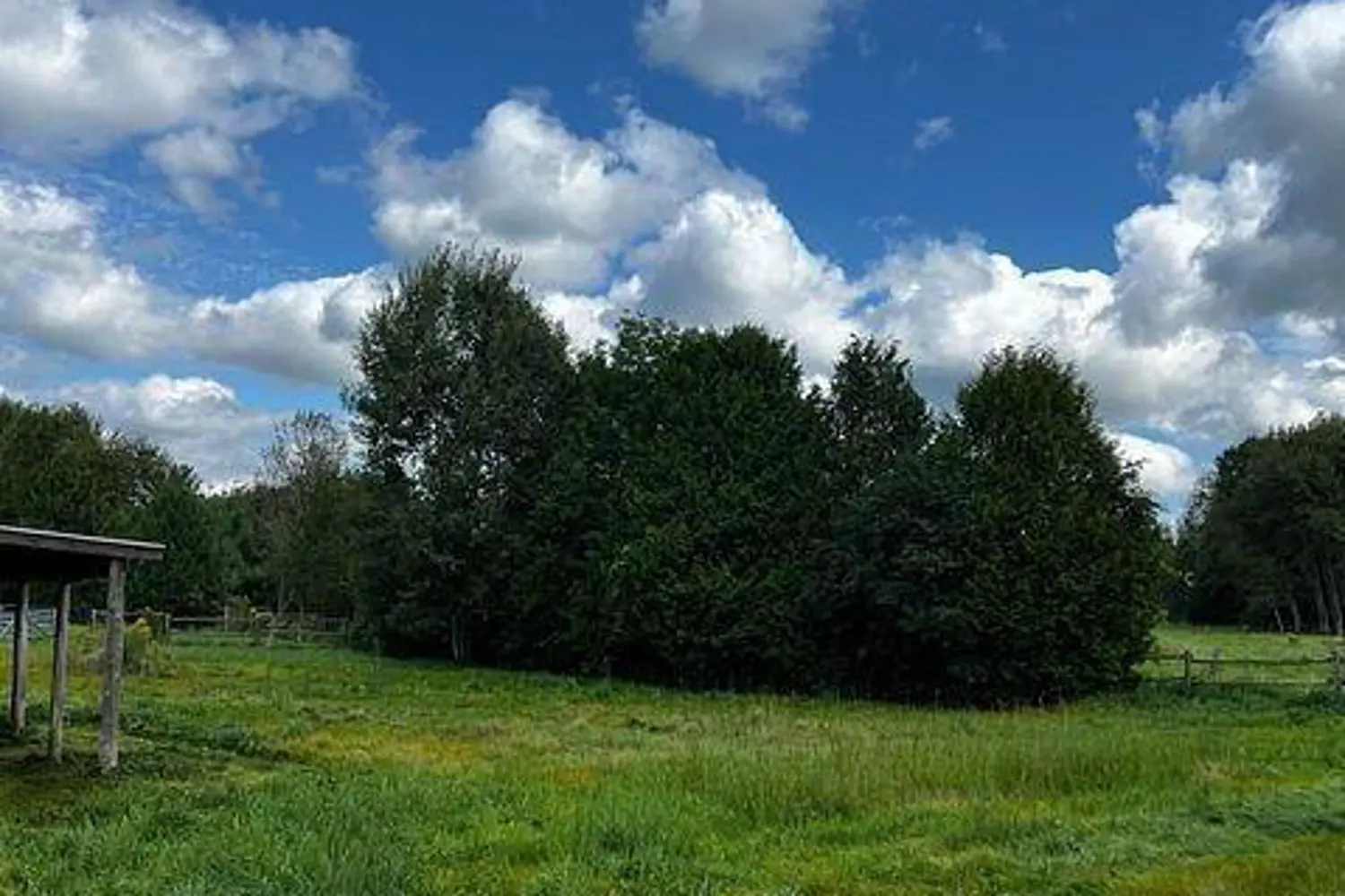 Additional image 8 of 128 County Road 22