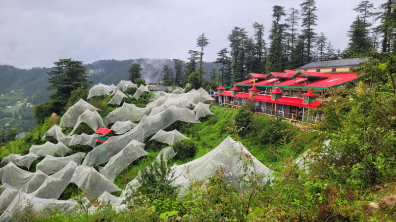 Additional image 2 of Kufri, Shimla