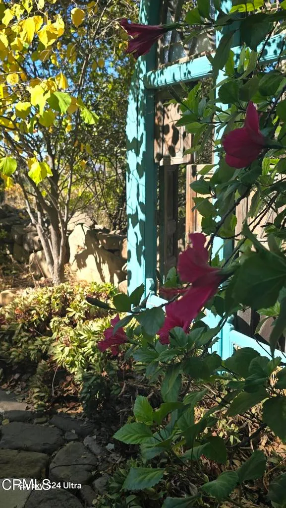 Additional image 84 of 1450 McAndrew Road, Ojai, CA 93023