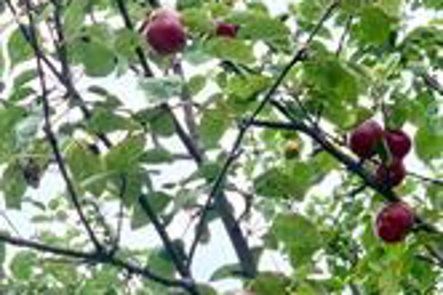 Additional image 18 of 326 Cressy Bayside Road