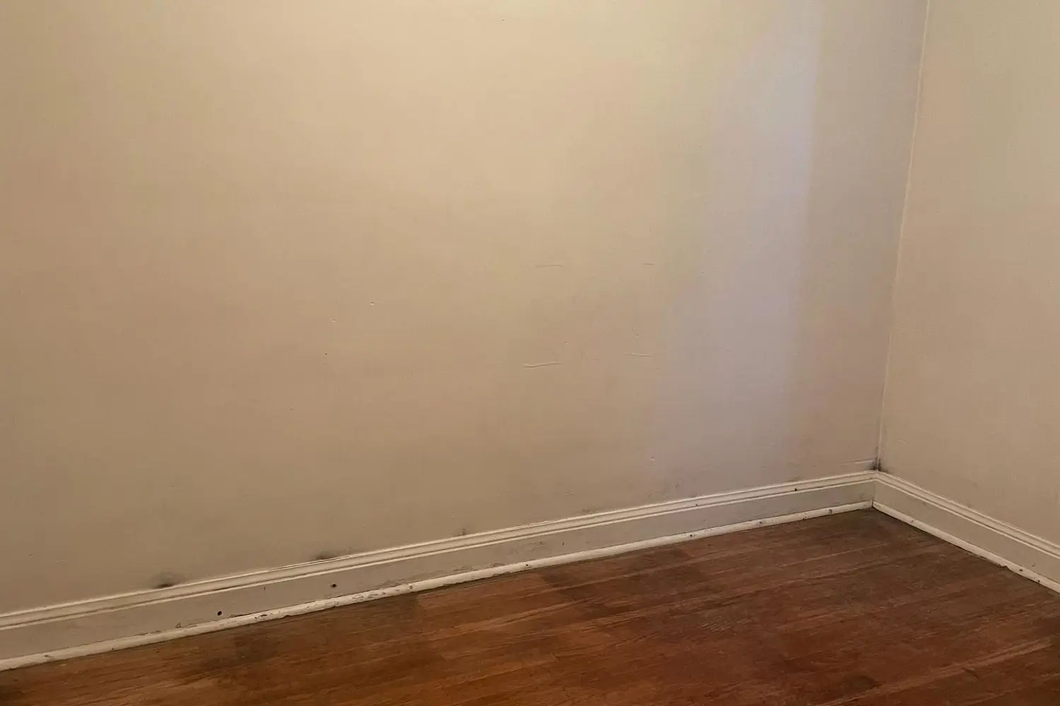 Additional image 12 of 11 Flamingo Crescent