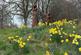 Additional image 5 of Gawer Park, CHESTER, Cheshire, CH1