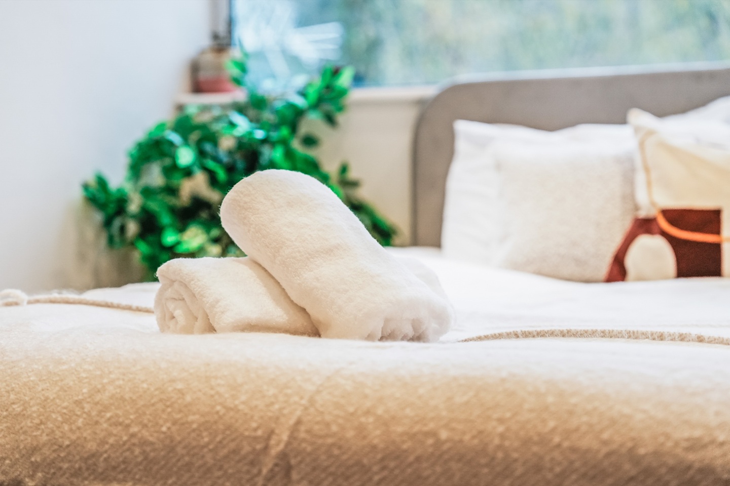 Additional image 11 of 5 Bed Terraced House, Stanmore Road, B16, N1 7GU