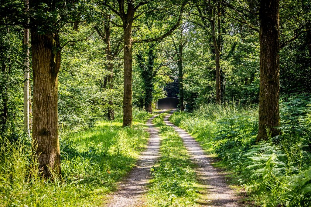 Additional image 16 of Land for saleEwhurst, Surrey GU6