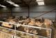 Additional image 15 of Broadwath, Brampton, Carlisle, Cumbria, Heads Nook CA8