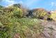 Additional image 12 of Morven Avenue, Mansfield Woodhouse, Mansfield