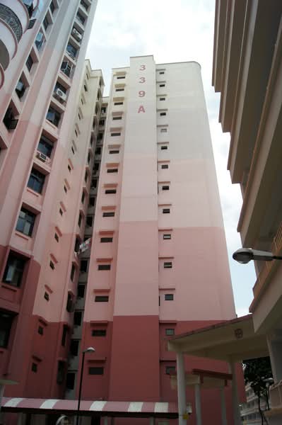 Additional image 15 of 339A Sembawang Close