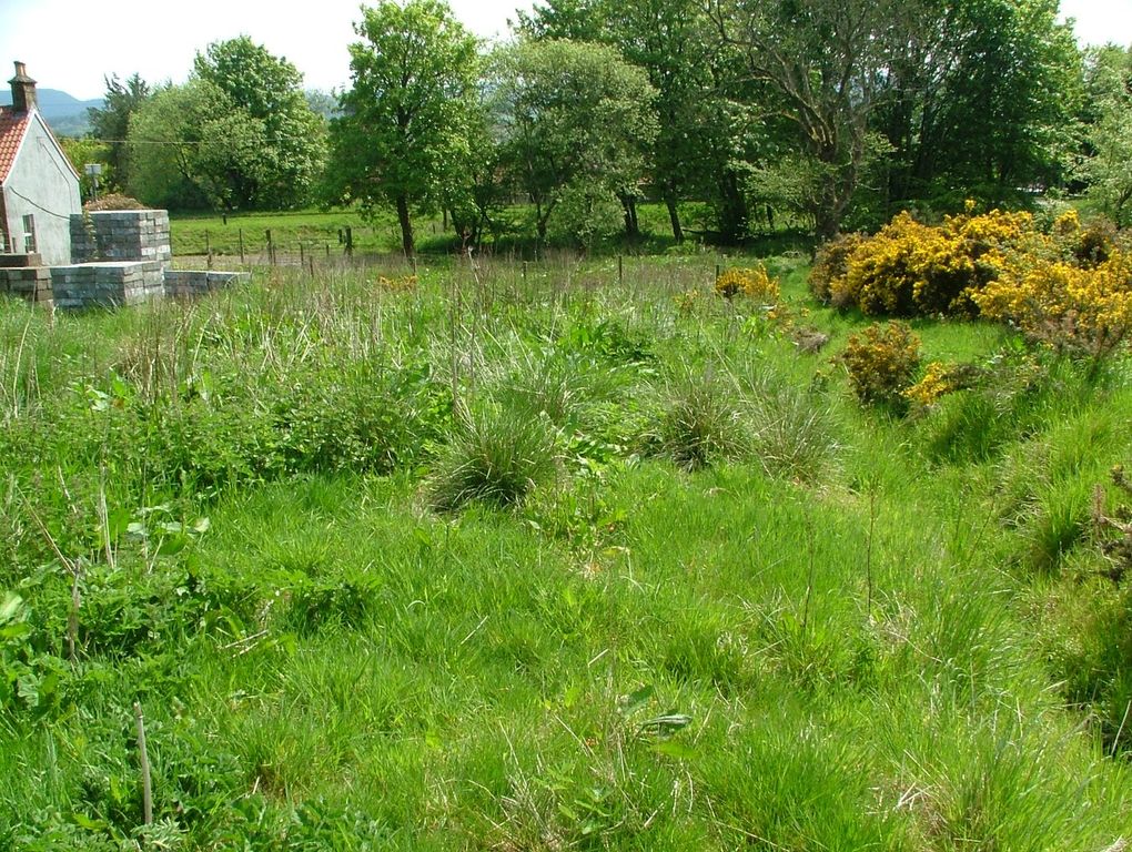 Land for saleDrum, Kinross KY13 photo 2