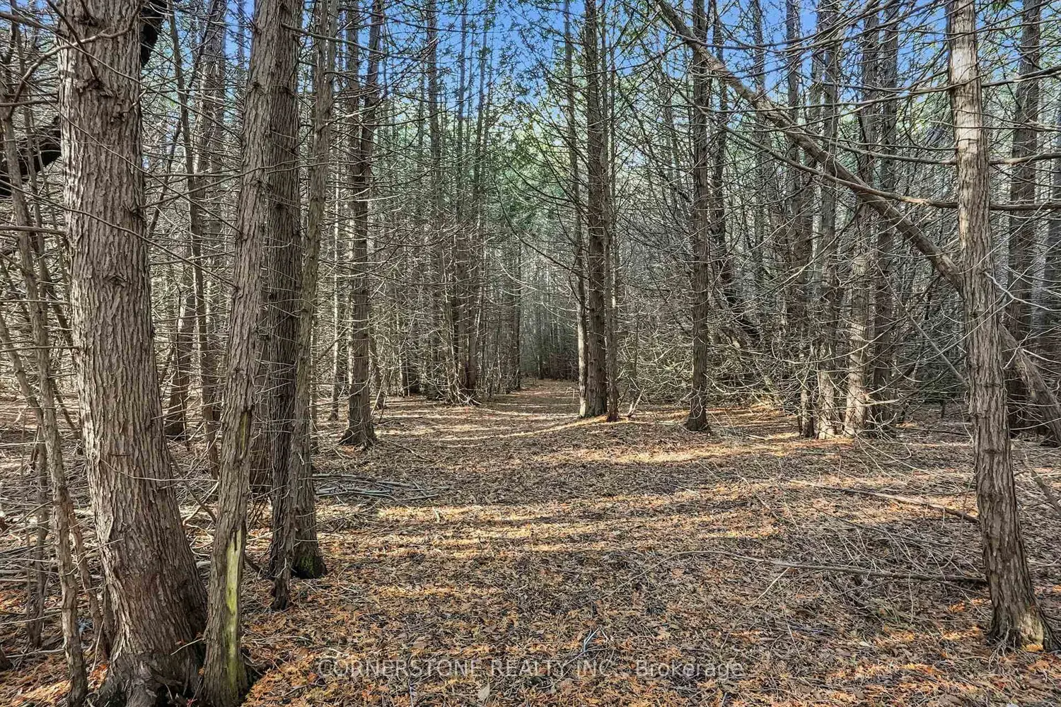 Additional image 20 of 86315 Kingsbridge Line