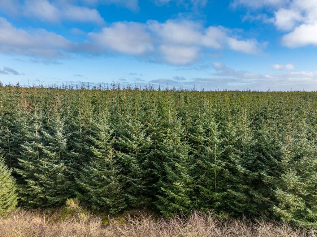 Additional image 5 of The Aberdeenshire Portfolio, Aberdeenshire