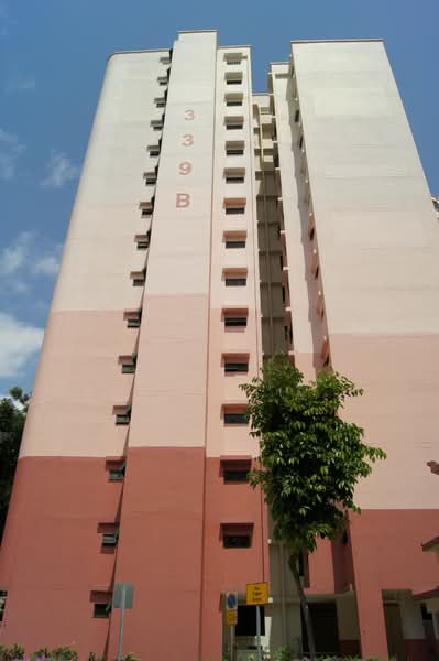 Additional image 12 of 339B Sembawang Close