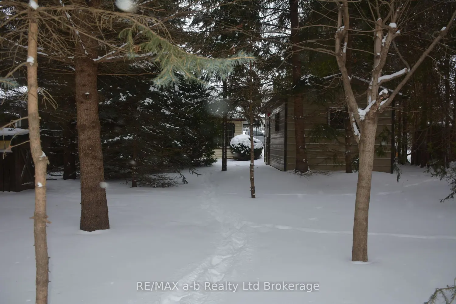 Additional image 8 of 146 Whiting Street