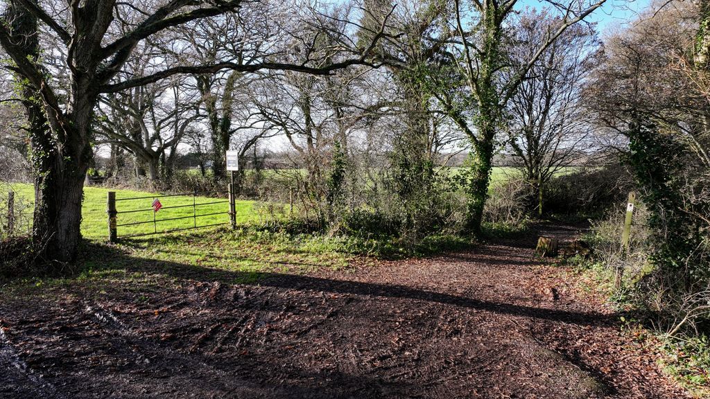 Land for salePopes Lane, Upham SO32 photo 2