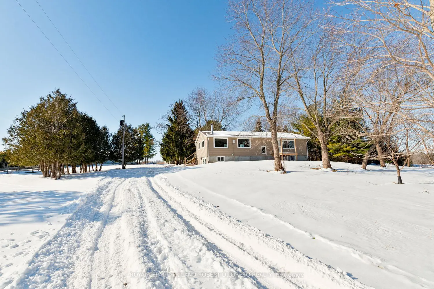 Additional image 3 of 21477 Springfield Road