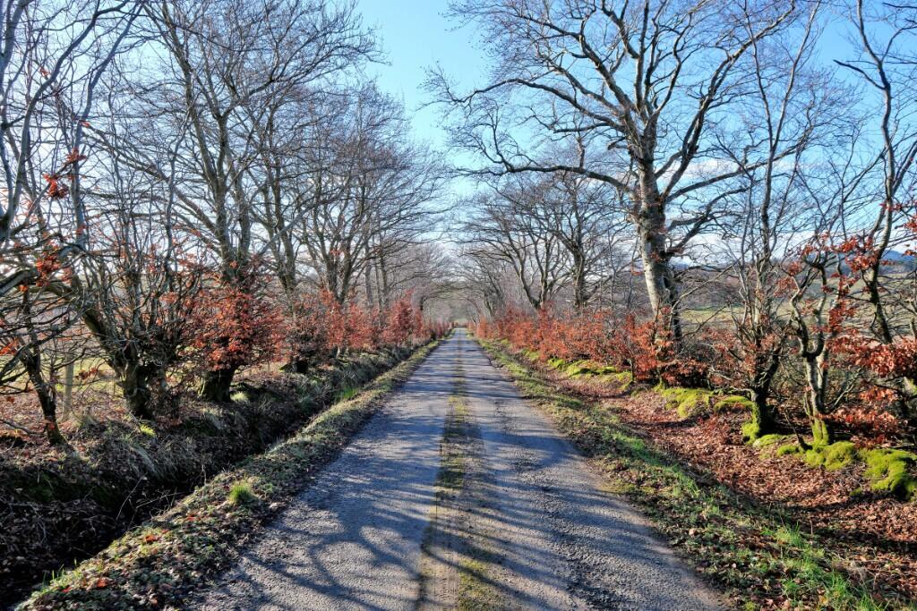 Additional image 14 of Lot 1 Chapelton Farm, Dellavaird, Auchenblae, AB30 1UD