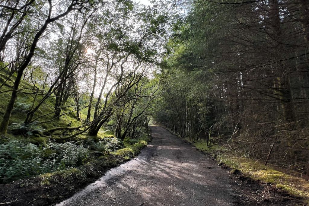 Additional image 9 of Land for saleWest Highland Way 2, Tyndrum, Crianlarich, Stirling FK20