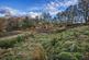 Additional image 7 of Land East Of Cruachan Cottages, Taynuilt, Argyll and Bute, PA35