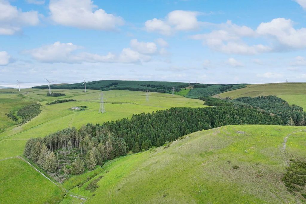 Land for saleForestry Land, Hartside Wood, Lauder, Scottish Borders TD26Pu TD2