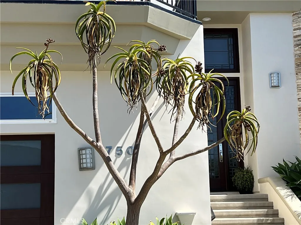 Additional image 19 of 750 Bolsana Drive, Laguna Beach, CA 92651