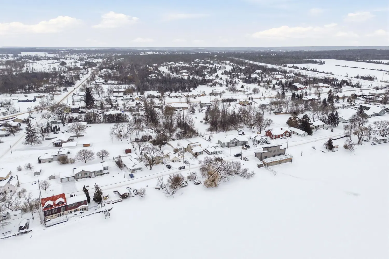 Additional image 16 of 115 Ridley Street