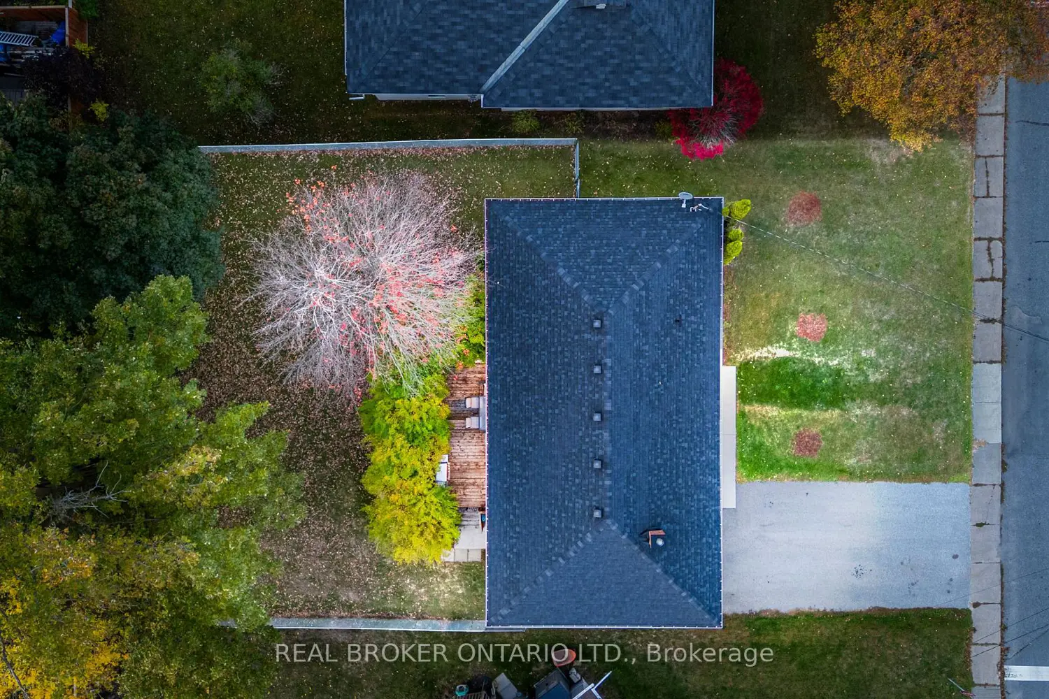 Additional image 16 of 12 Florence Street