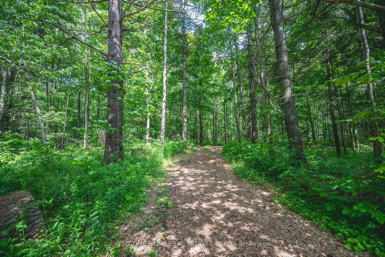 Additional image 8 of 8071 4Th Line