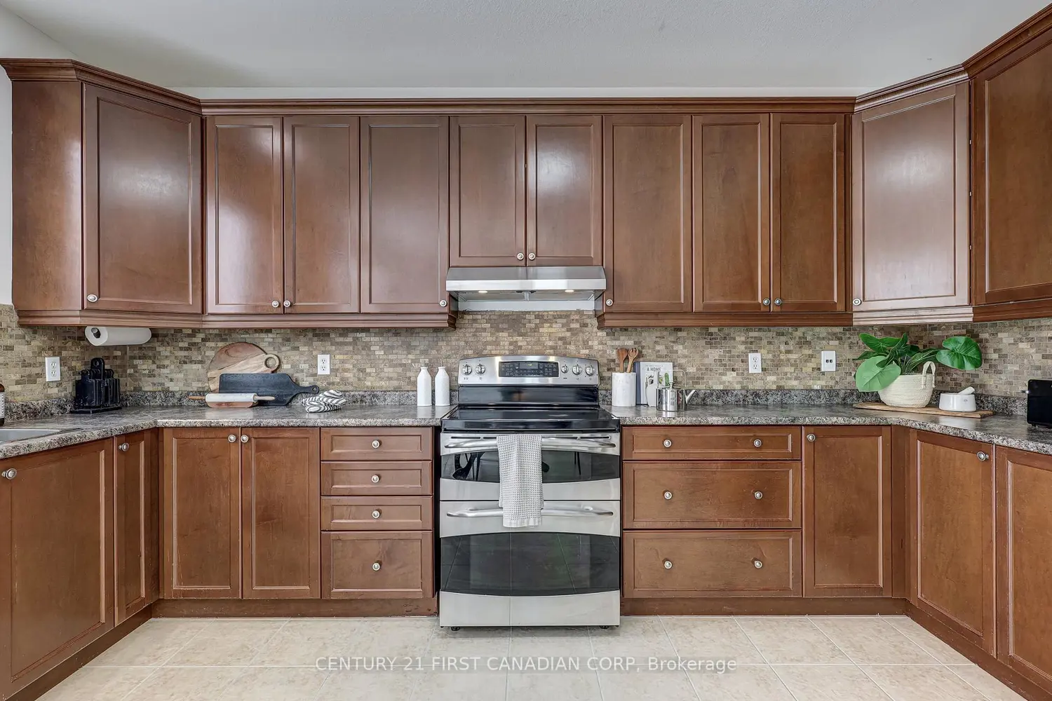 1336 Birchwood Drive photo 2