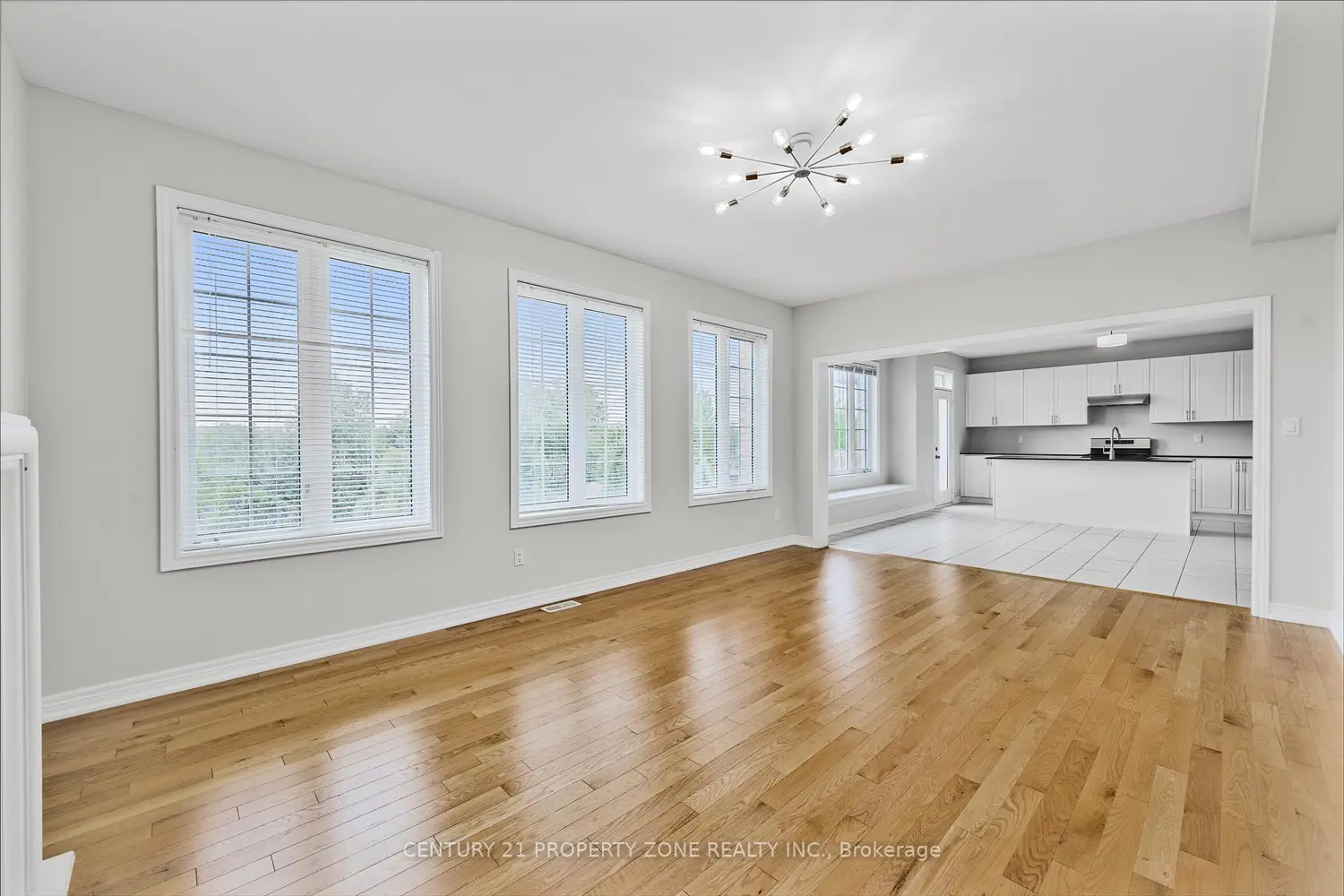 Additional image 9 of 919 Green Street