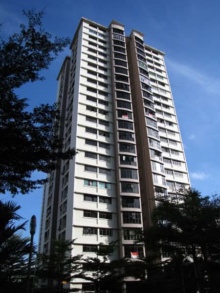 Additional image 12 of 13 Ghim Moh Road