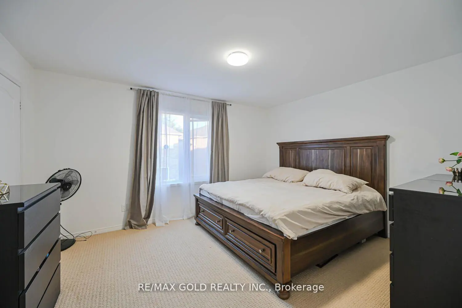 Additional image 7 of 34 Earth Star Trail