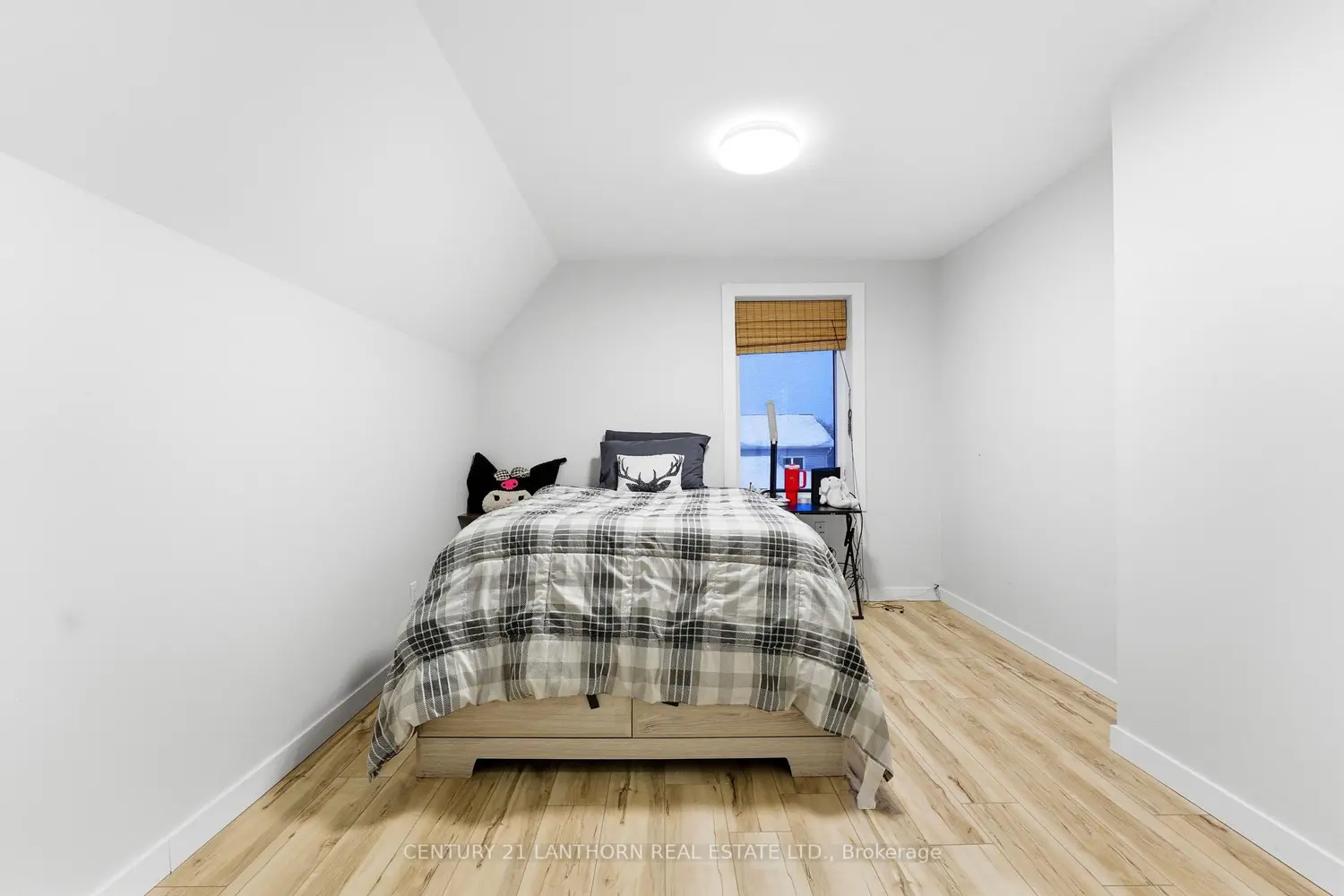 Additional image 7 of 115 Ridley Street