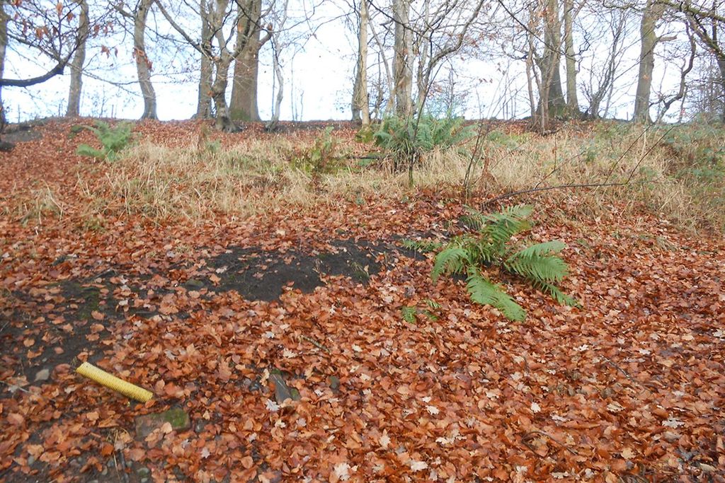 Additional image 3 of Land for saleScots Wa Hae, Plot 6, Poets Rest, Catrine KA56Sw KA5