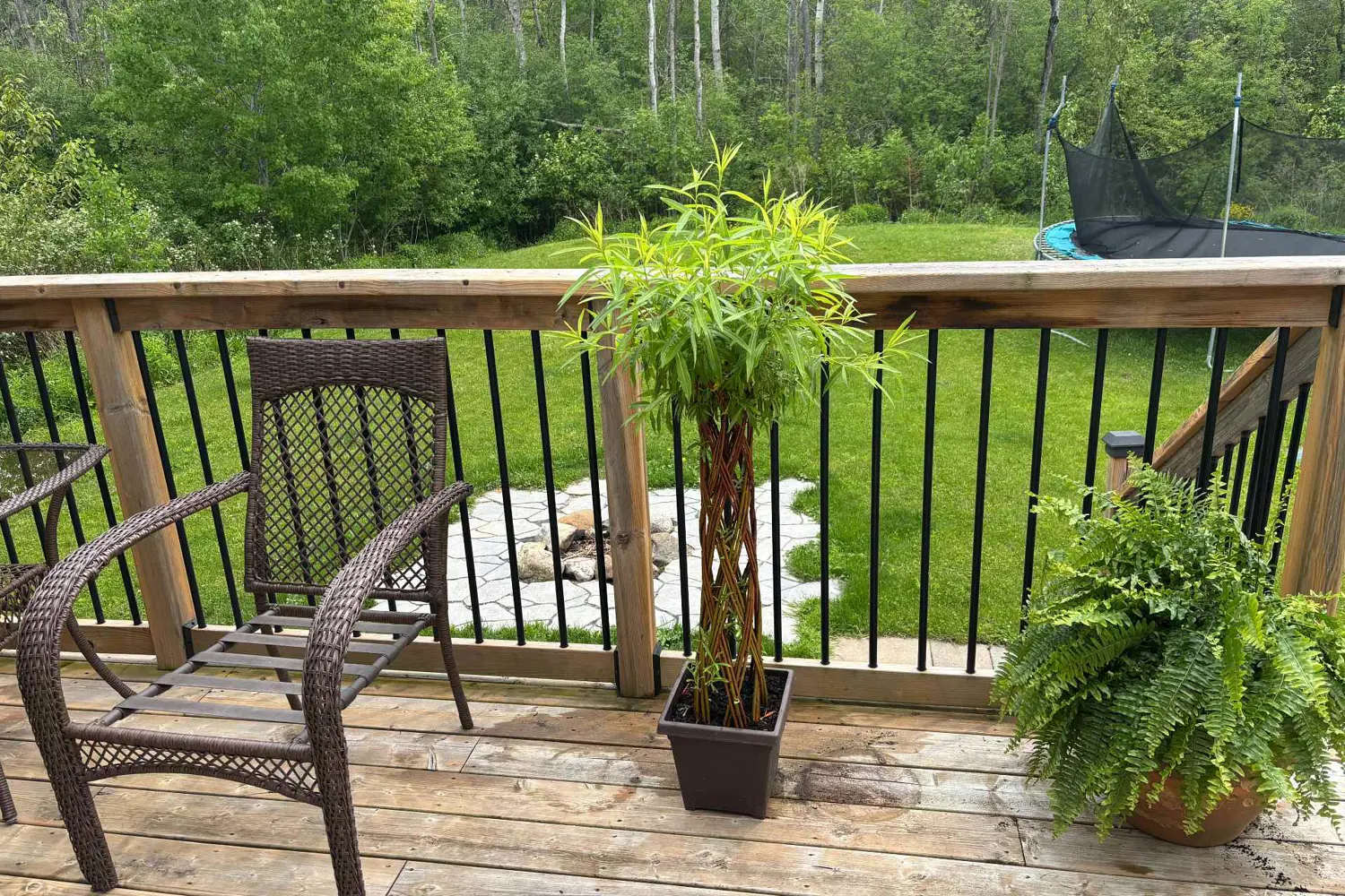 Additional image 4 of 40 Braeside Street