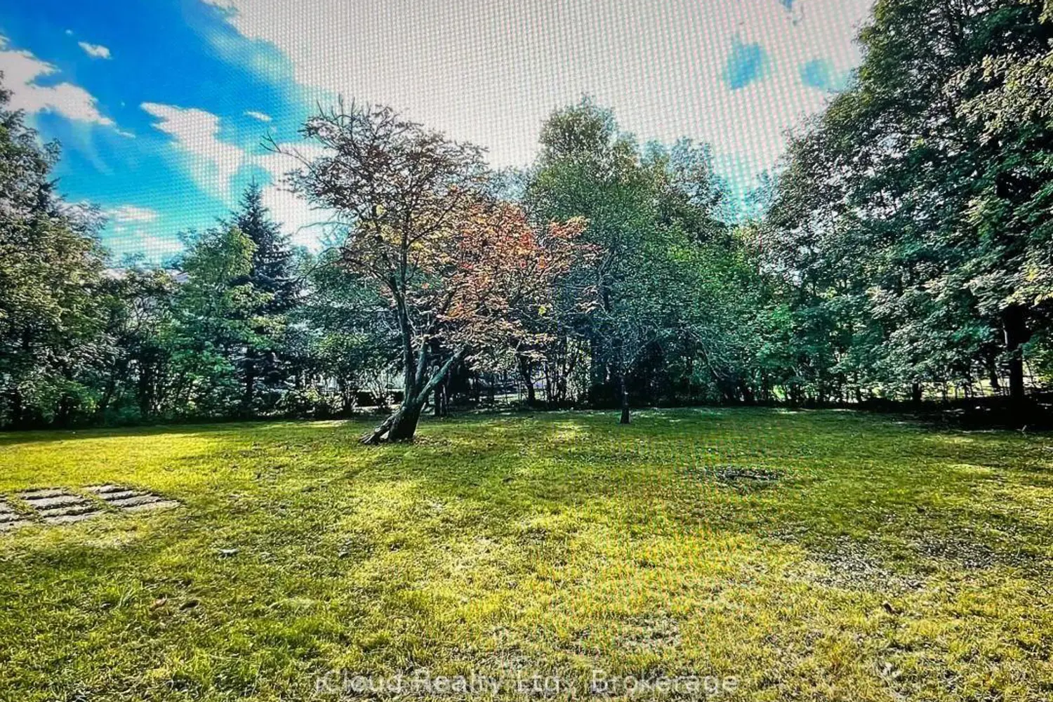 541 Sunset Beach Road photo 5