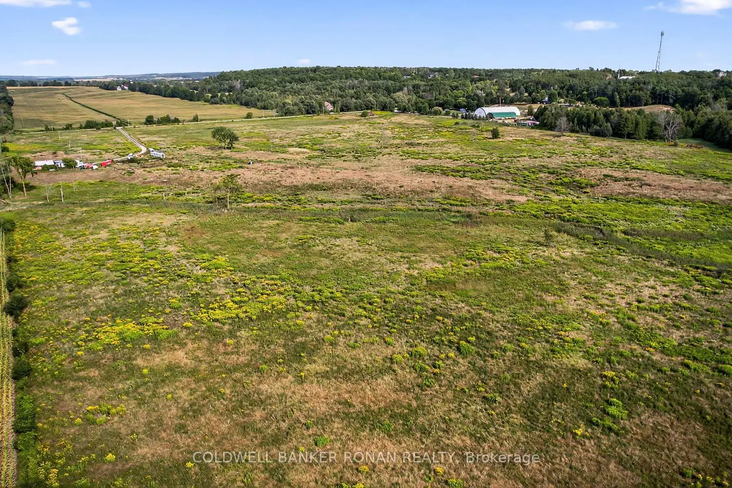 Additional image 17 of 3178 Concession Road 4
