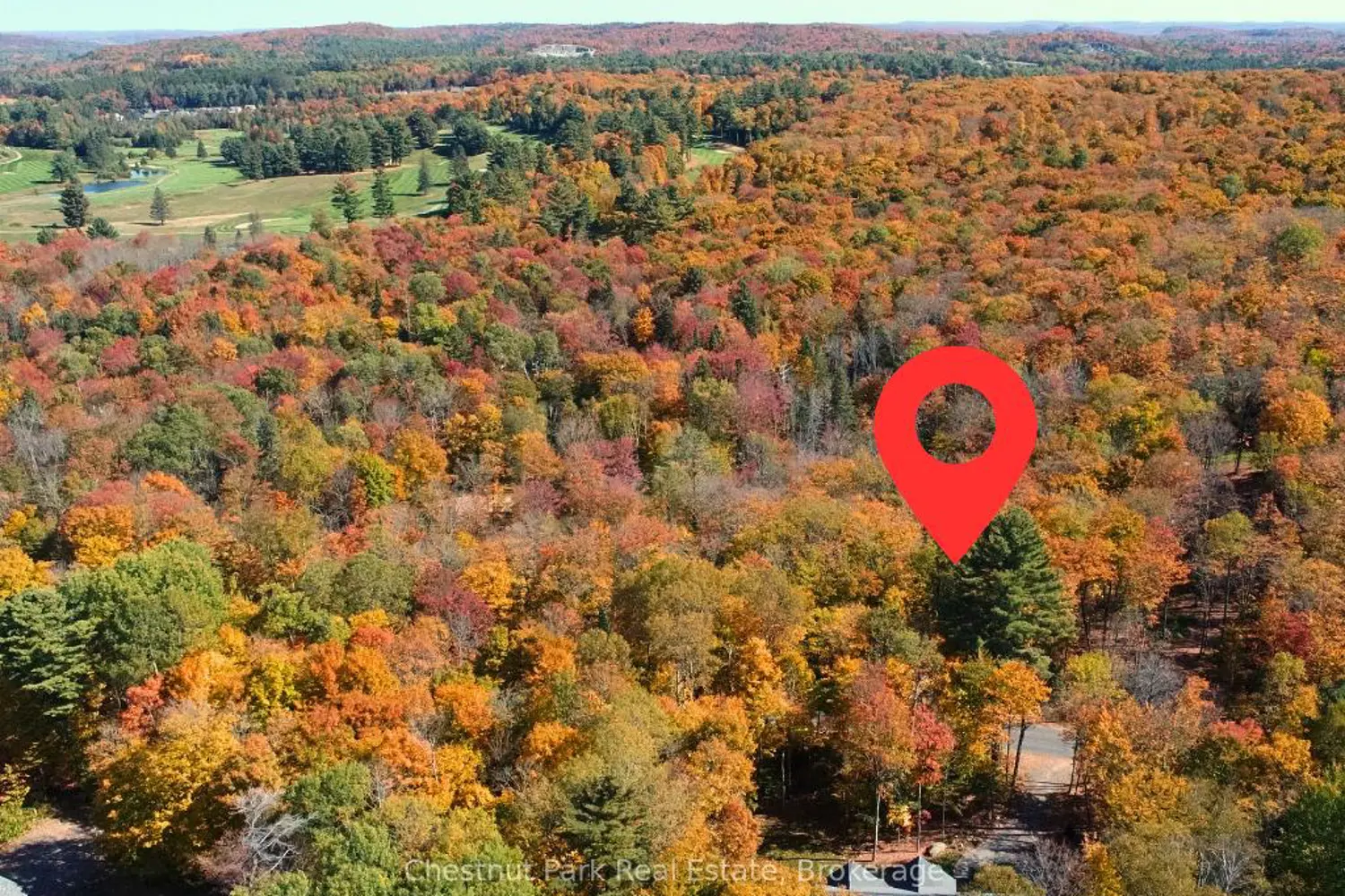 384 Golf Course Road photo 3