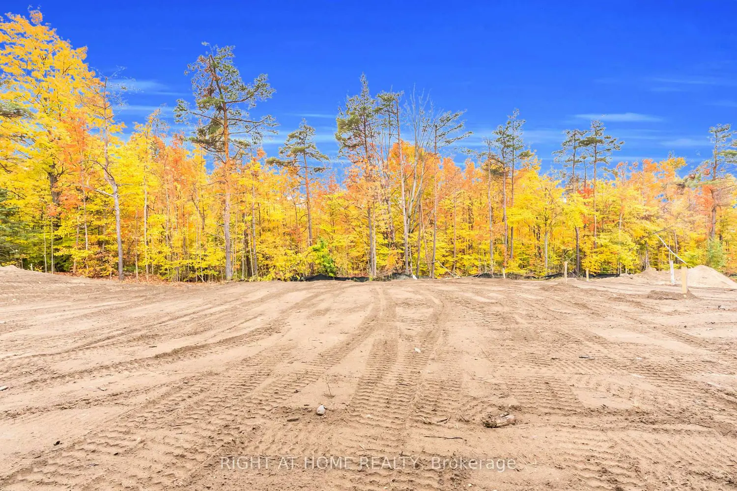 Additional image 19 of 76 Ruby Ridge