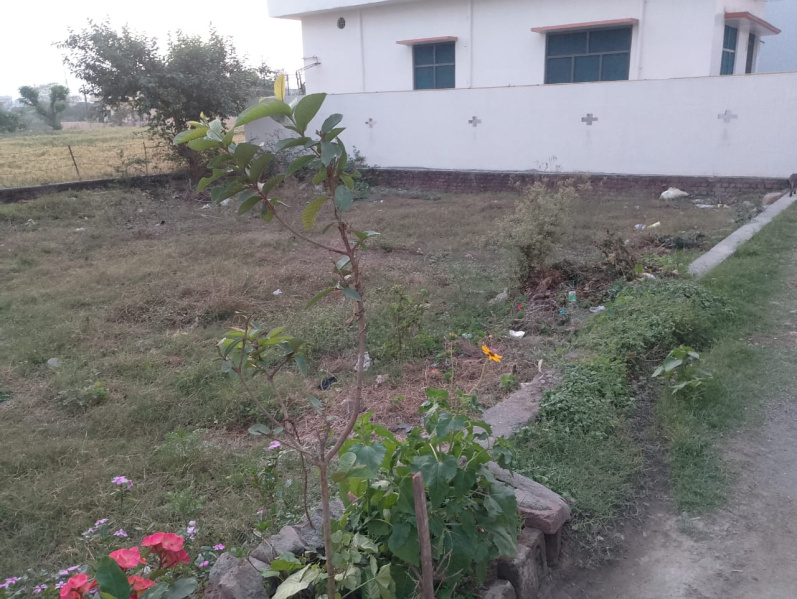 Additional image 3 of Himmatpur Malla, Haldwani