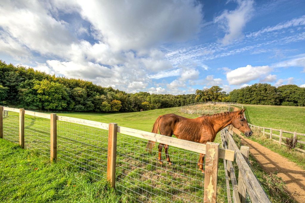 Additional image 21 of Land for saleSandpit Lane, Brentwood CM14