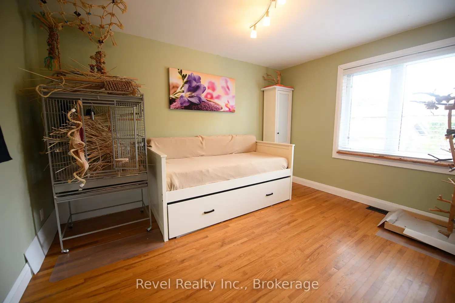 Additional image 11 of 4 Teskey Court