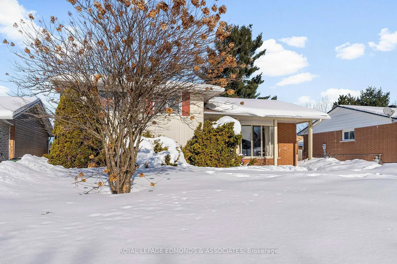 20 Maple Avenue photo 2