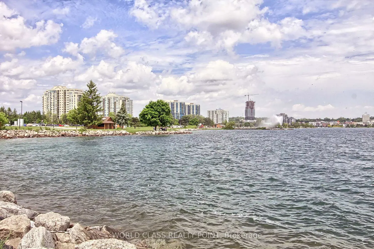 Additional image 20 of 75 Ellen Street 207